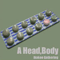 A Head,Body / Ikakoo Gathering
